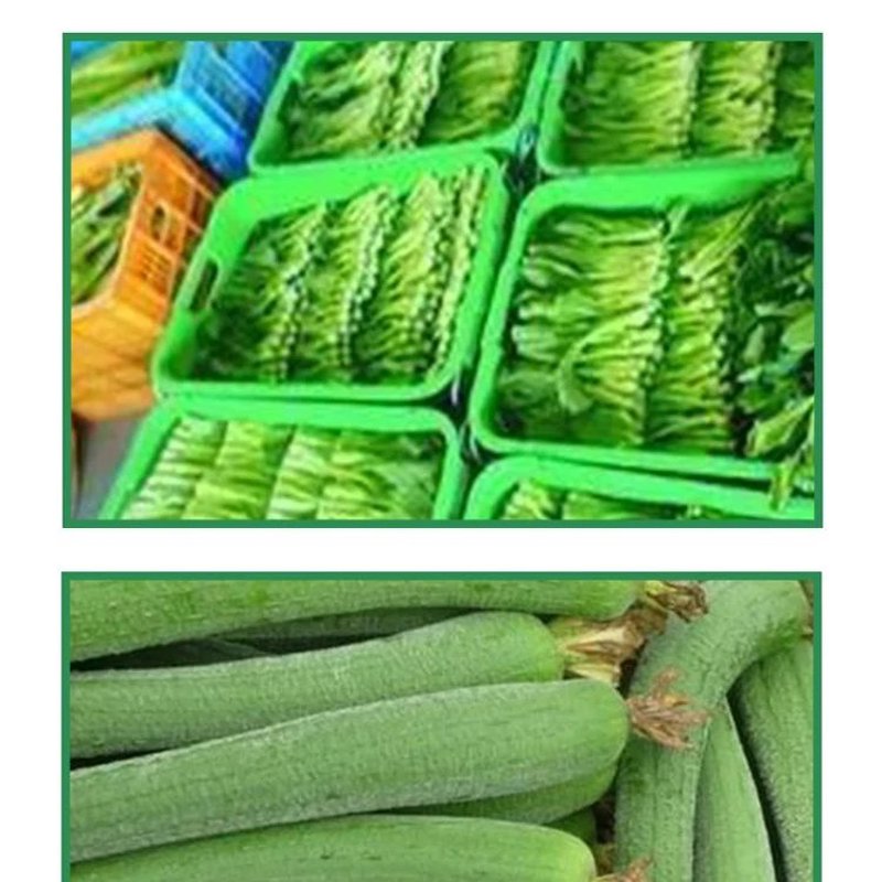 家居用品板块：传统与现代的碰撞